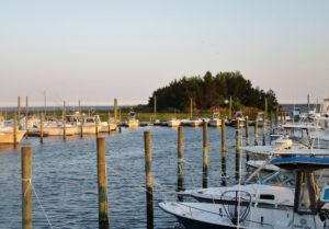 boats in water