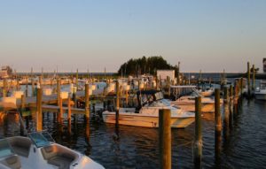 boats in water